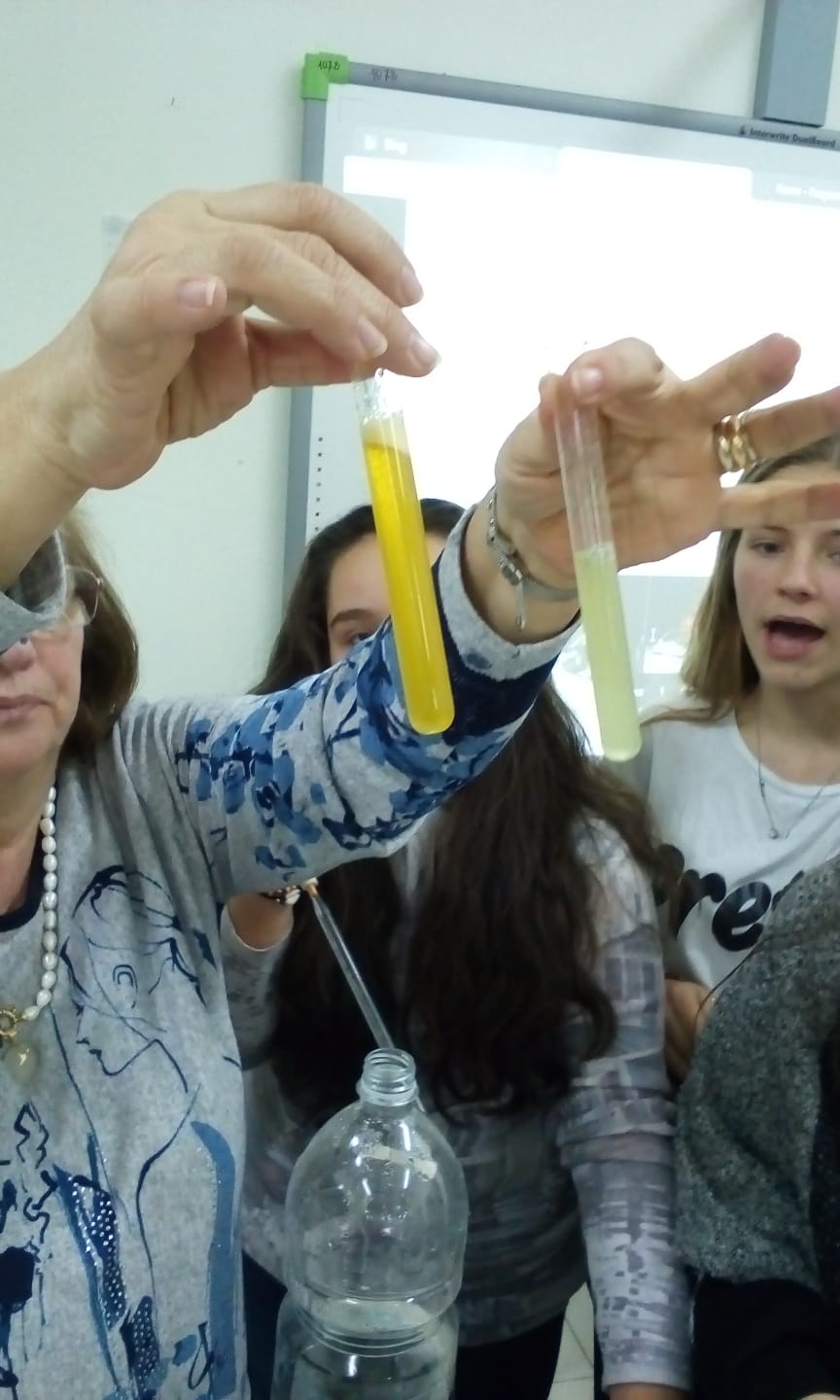 Progetto PON “SCIENZE VIVE”: Giovani scienziati crescono…
