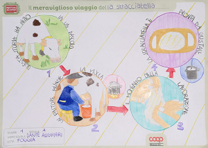 CONCORSO “IMPARIAMO SUL CAMPO”