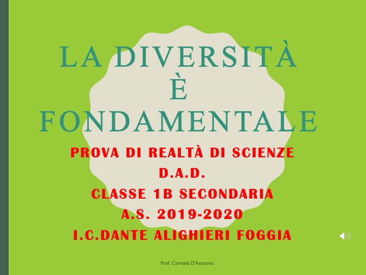 LA DIVERSITÀ È FONDAMENTALE