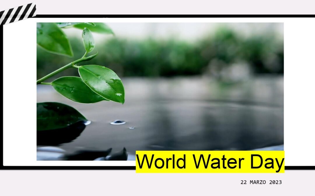 Giornata mondiale dell’acqua